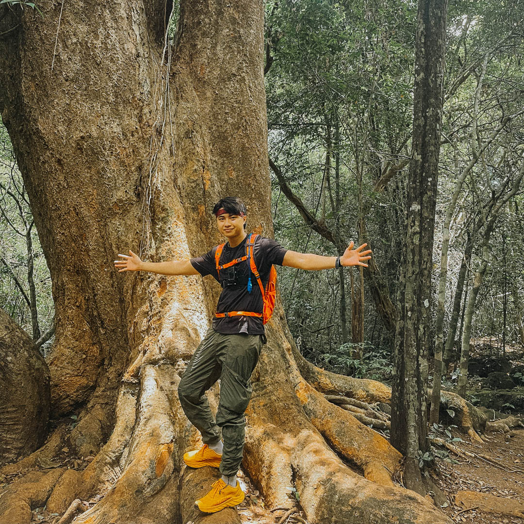 Leo núi trong ngày tại Nam Cát Tiên