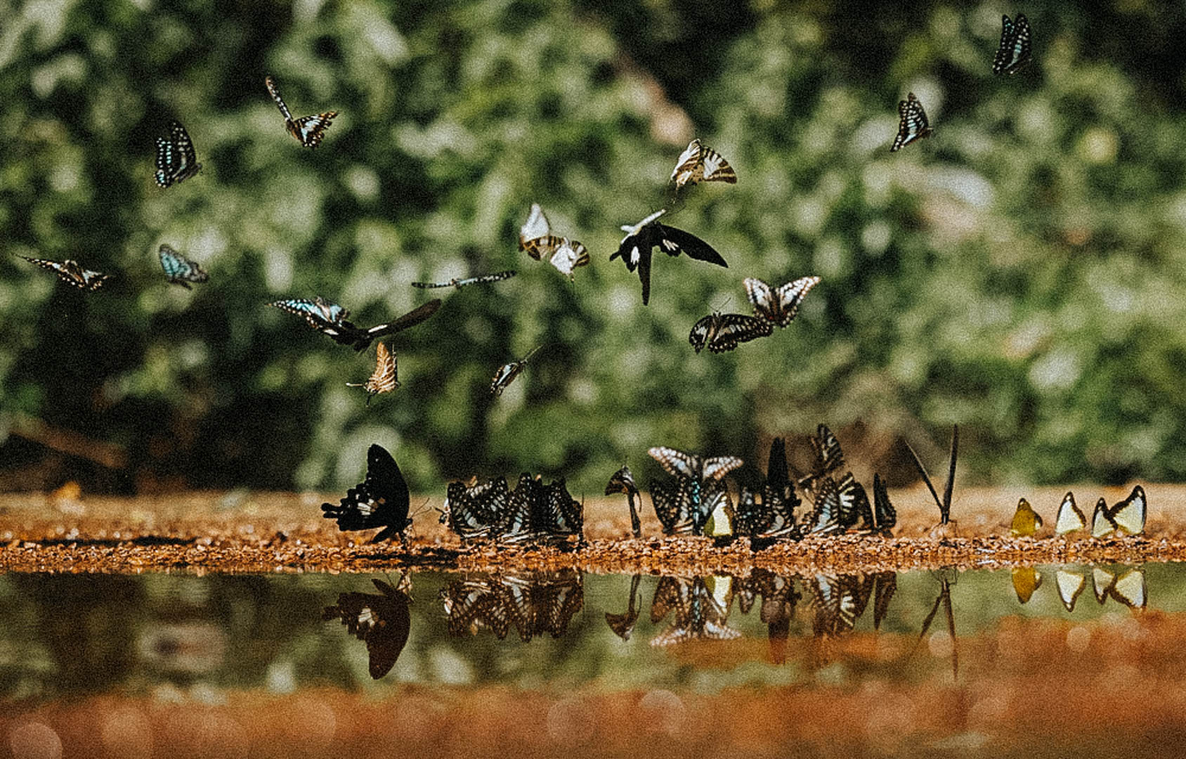 Leo núi trong ngày tại Nam Cát Tiên