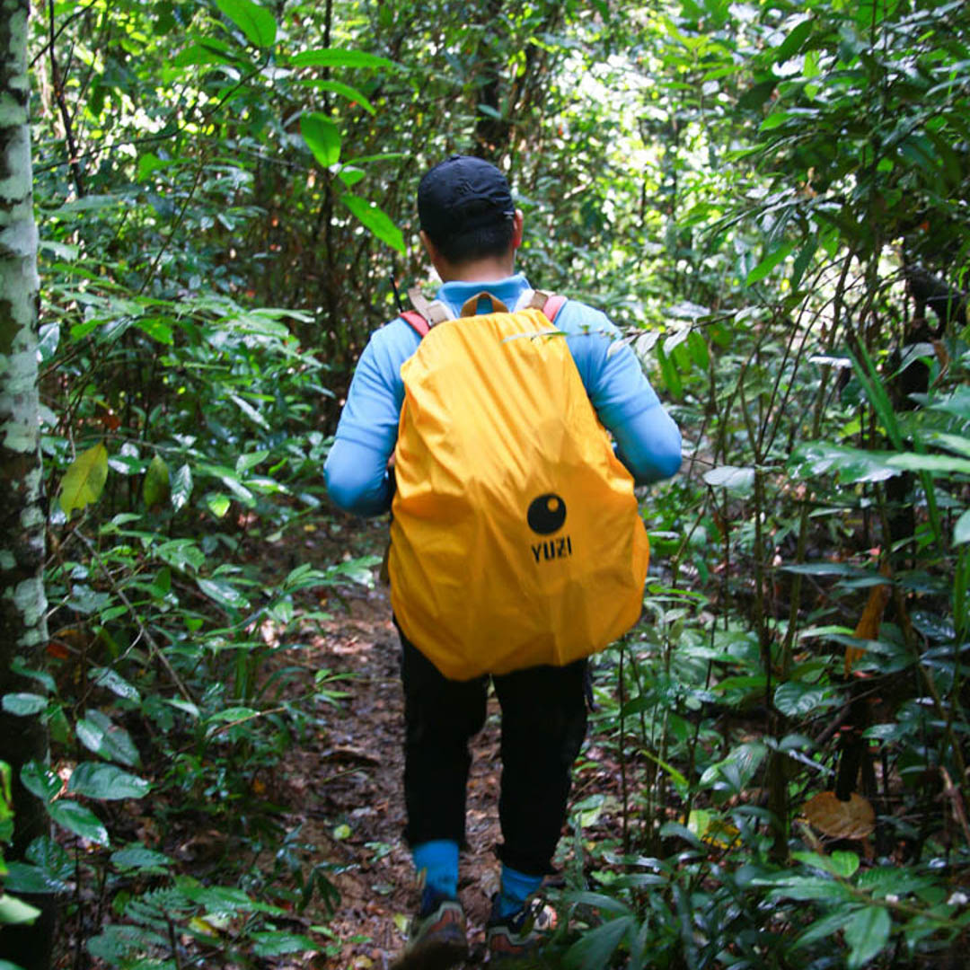 Tà Đùng - địa điểm trekking tại Đắk Nông