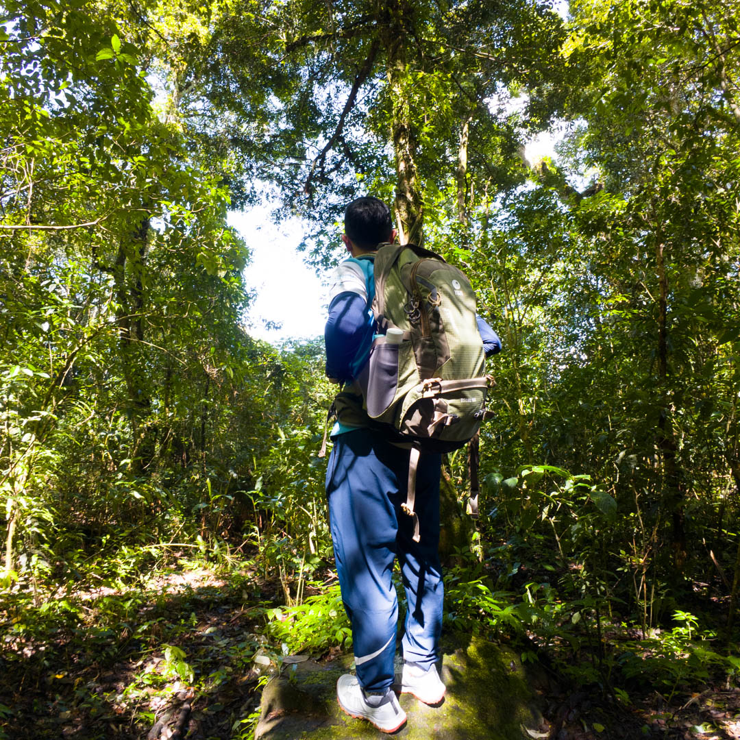 Langbiang, trekking ngọn núi cao nhất nhì tại Đà Lạt