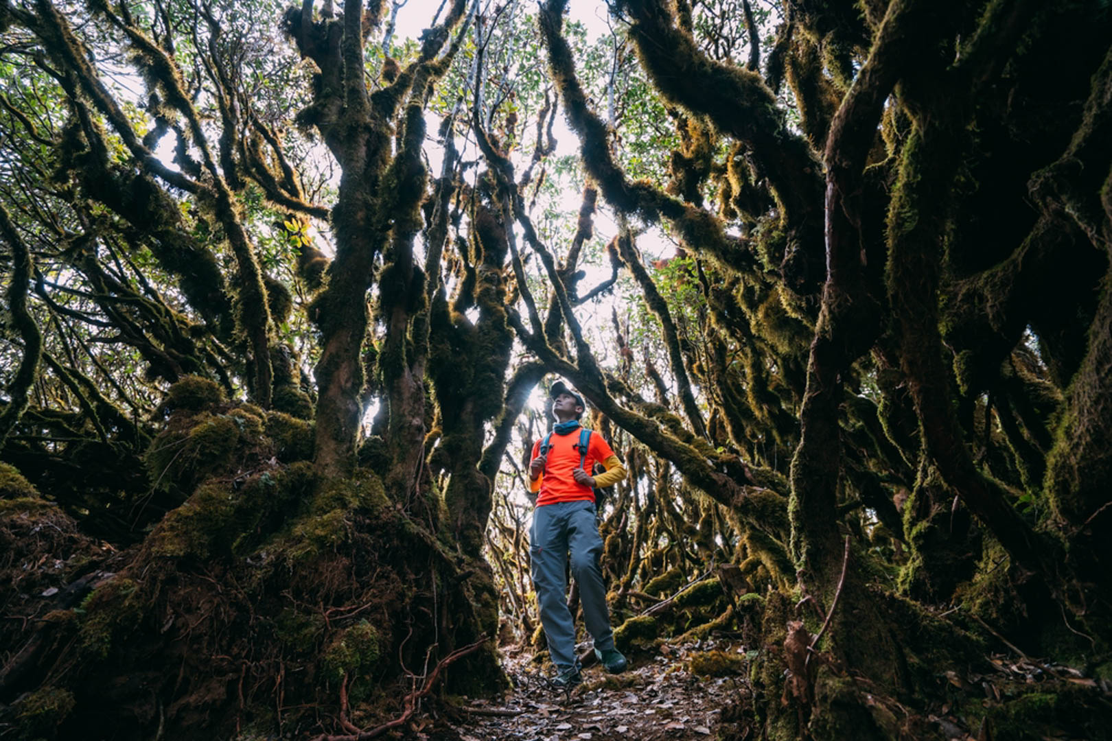 Tà Xùa - Trekking chinh phục sống lưng khủng long huyền thoại