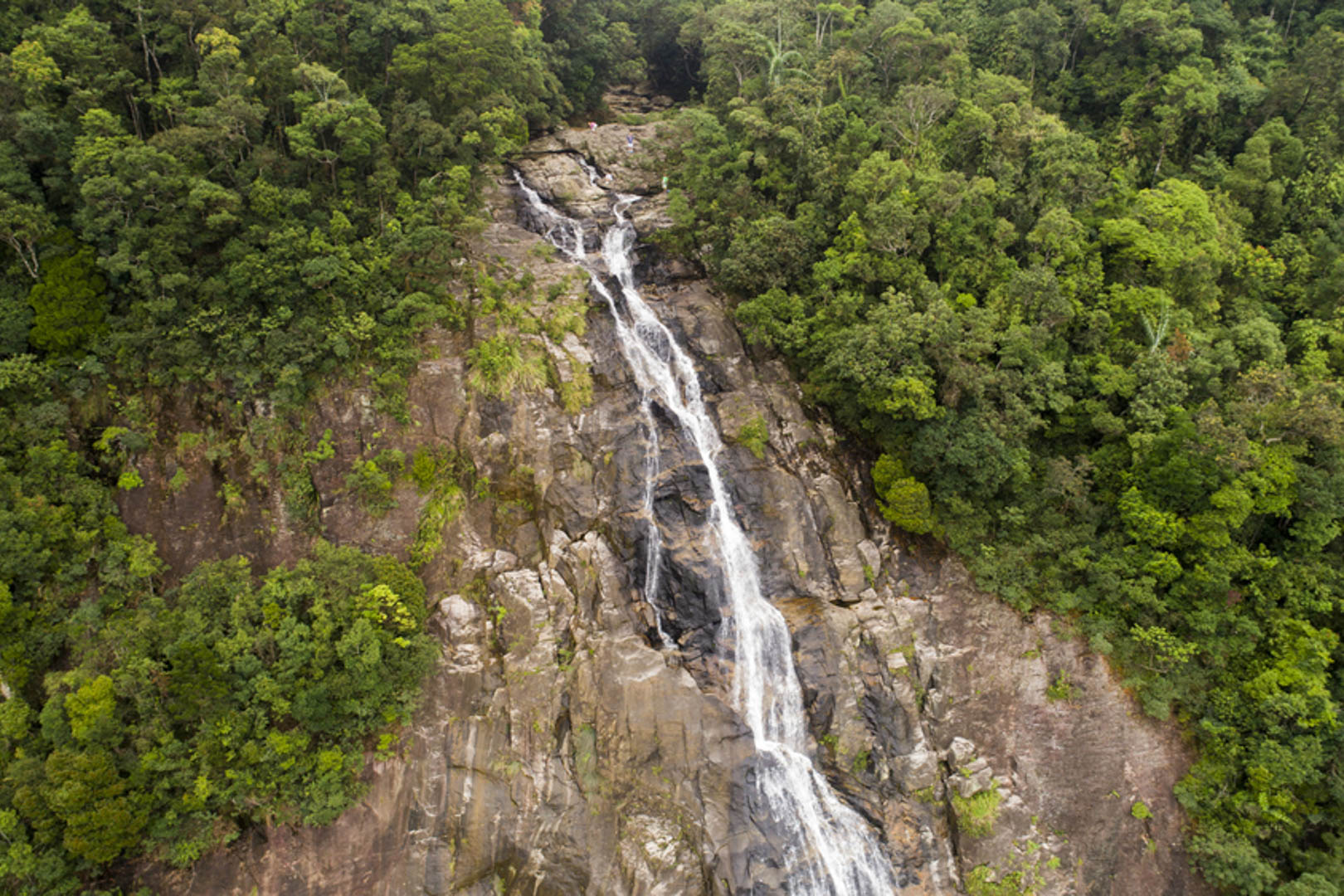 Vườn quốc gia Bạch Mã có gì?