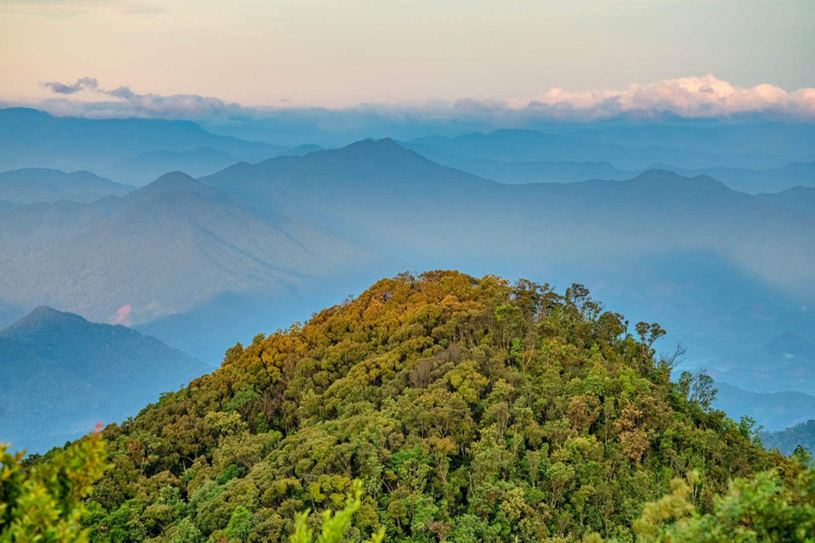 Vườn quốc gia Bạch Mã có gì?