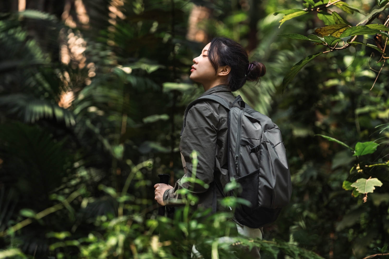 Vườn quốc gia Bạch Mã có gì?