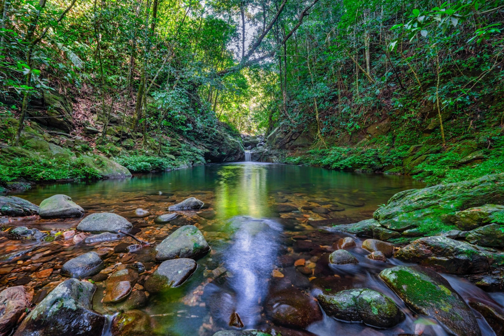 Vườn quốc gia Bạch Mã có gì?