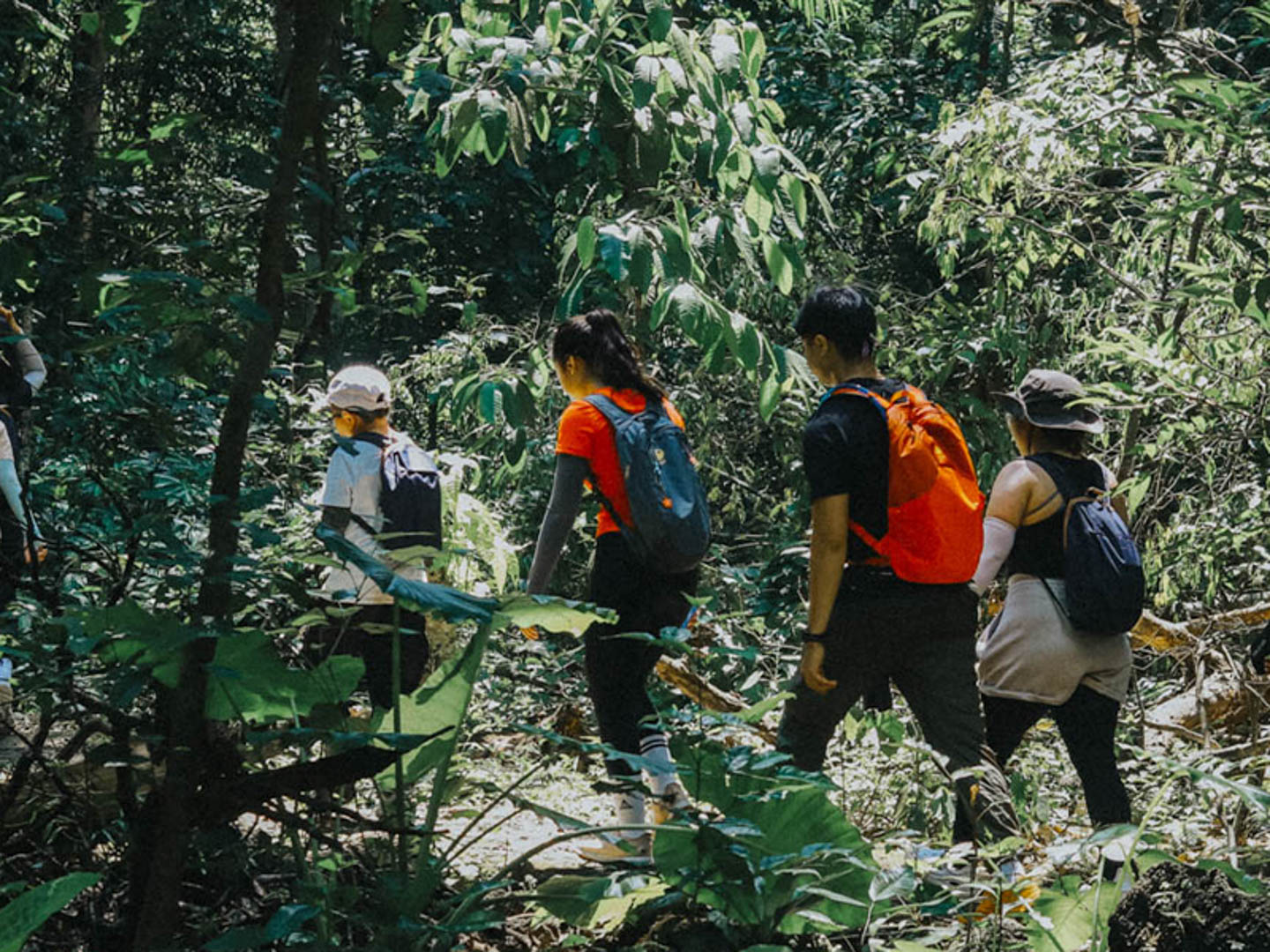 Leo núi trong ngày cần chuẩn bị những gì?